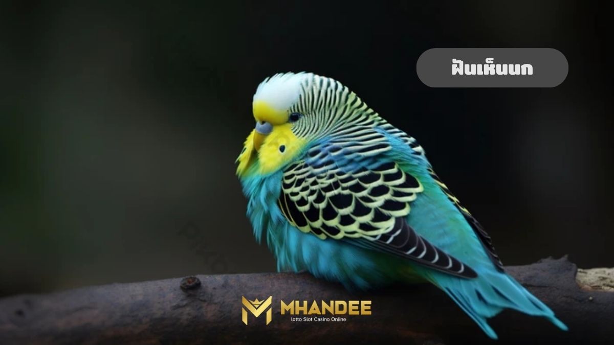 ฝันเห็นนก