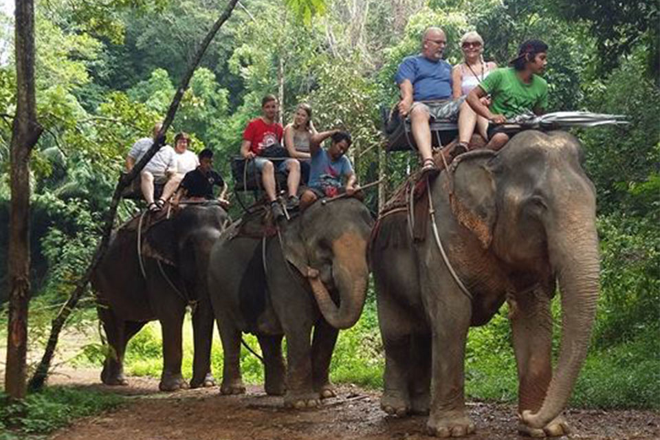 ขี่ช้าง