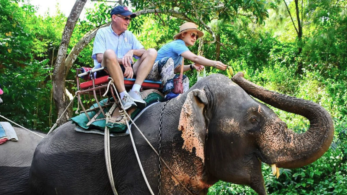 ขี่ช้างเที่ยว