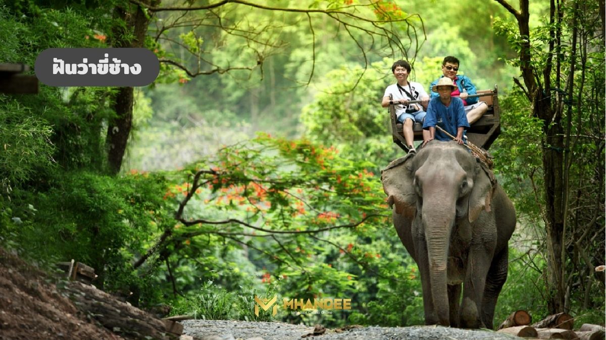 ฝันว่าขี่ช้าง